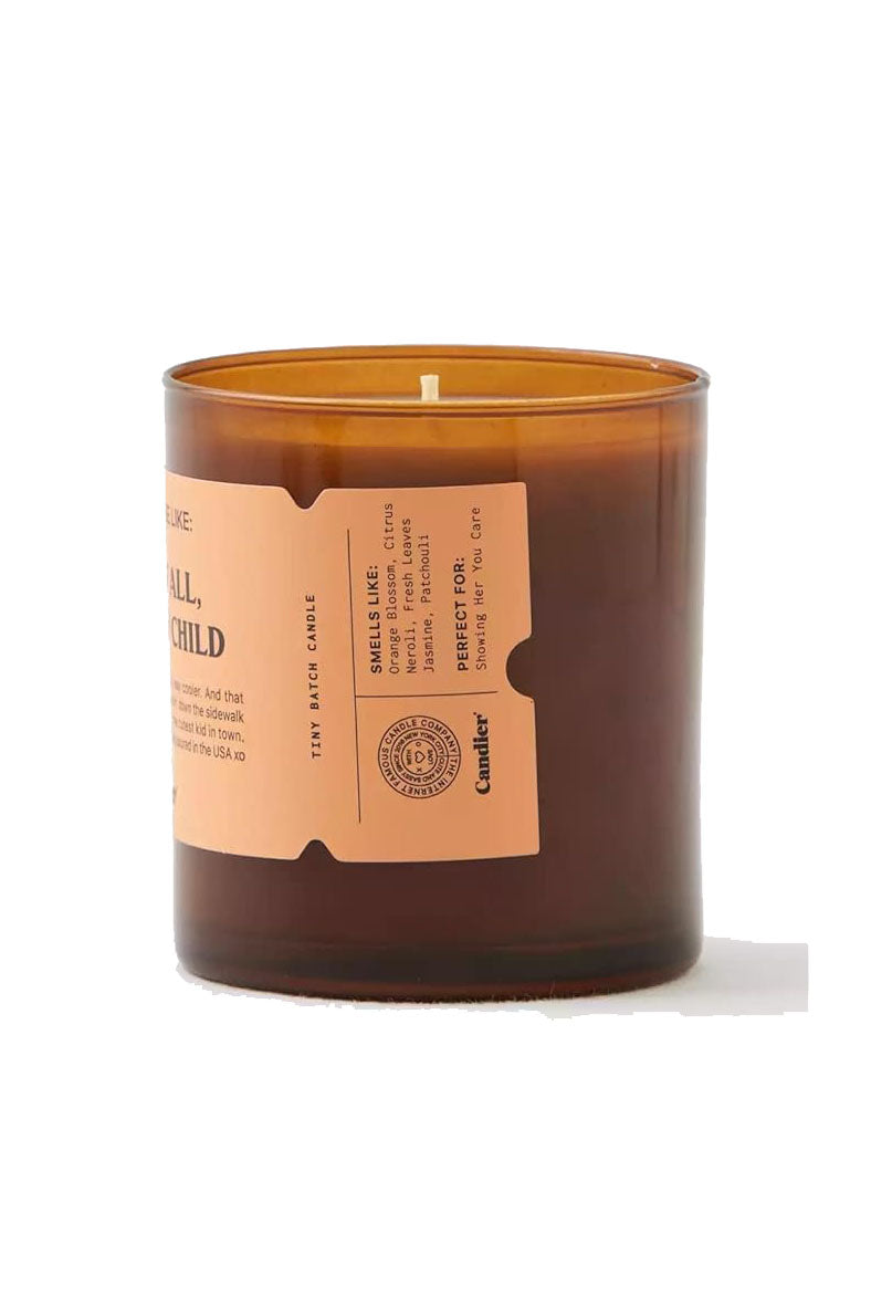 DOG MOMS BE LIKE CANDLE